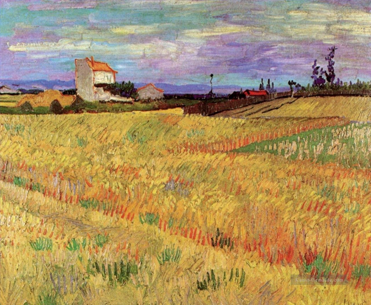 Weizenfeld Vincent van Gogh Ölgemälde